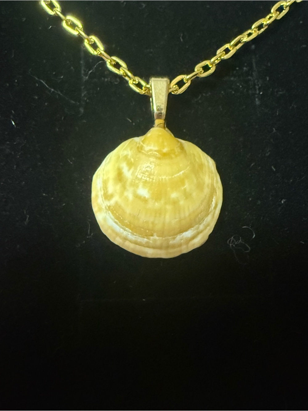 Gold Chain Necklace with Yellow Shell Pendant